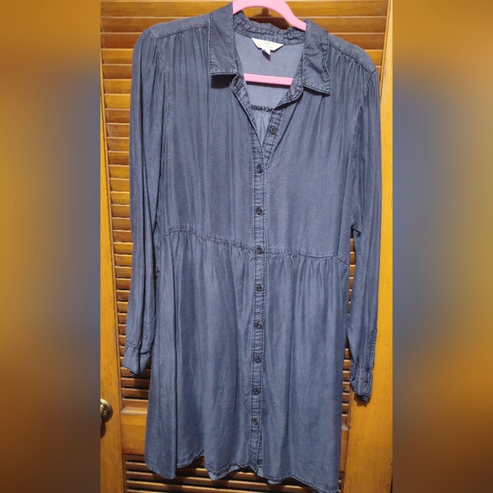 Jean Dress